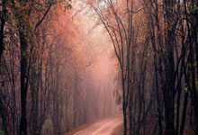 图赫尔:里斯-詹姆斯已经连续训练了几周,没有任何问题.