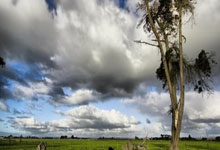 韦德体育：晋西北乱成一锅粥！CBA常规赛今夜收官，谁能锁定前四席位？.