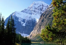 韦德体育：天津渤海银行女排横扫河南队.