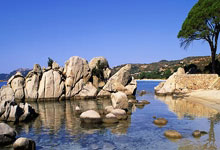 韦德体育：与亚冬会赛跑！走路依然很疼，谷爱凌伤情更新中新体坛.